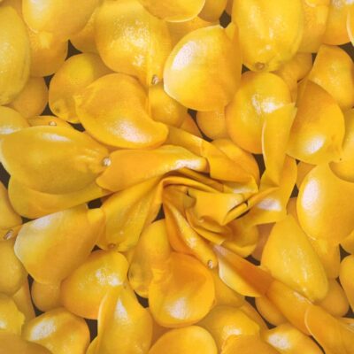 Citroenen Timeless Treasures